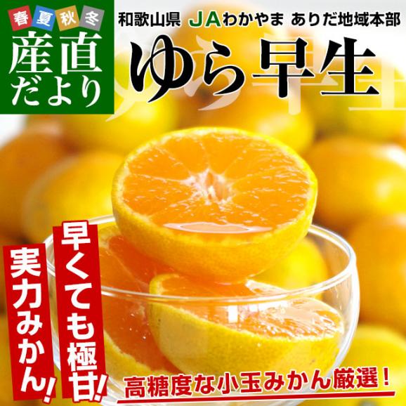 和歌山県より産地直送 JAわかやま ありだ地域本部 ゆら早生みかん 5キロ SからSSサイズ 蜜柑 ミカン 送料無料02