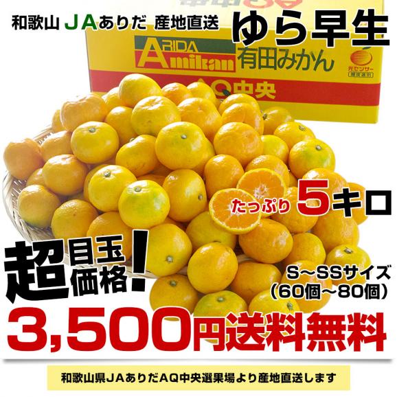 和歌山県より産地直送 JAありだ ゆら早生みかん 5キロ SからSSサイズ 蜜柑 ミカン 送料無料03