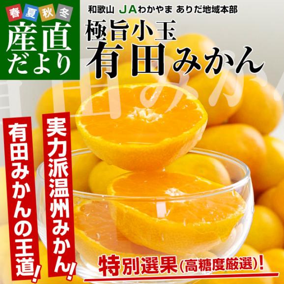 和歌山県より産地直送 JAわかやま ありだ地域本部 有田みかん 厳選の小玉 SからSSサイズ 5キロ(60玉から80玉) 送料無料 蜜柑 ミカン お歳暮 御歳暮02