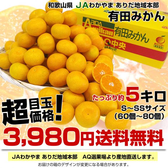 和歌山県より産地直送 JAわかやま ありだ地域本部 有田みかん 厳選の小玉 SからSSサイズ 5キロ(60玉から80玉) 送料無料 蜜柑 ミカン お歳暮 御歳暮03