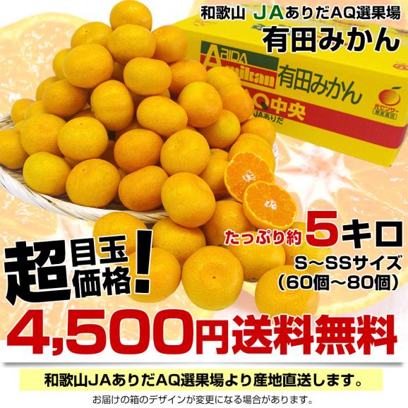 和歌山県より産地直送 JAありだ 有田みかん 厳選の小玉 SからSSサイズ 5キロ(60玉から80玉) 送料無料 蜜柑 ミカン お歳暮 御歳暮03