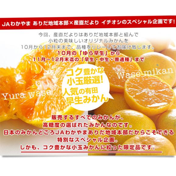 和歌山県より産地直送 JAわかやま ありだ地域本部 有田みかん 厳選の小玉 SからSSサイズ 5キロ(60玉から80玉) 送料無料 蜜柑 ミカン お歳暮 御歳暮04