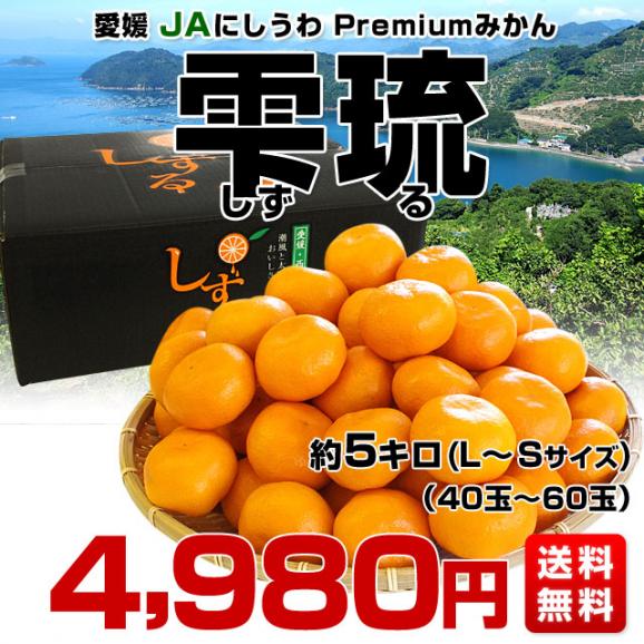 愛媛県産 JAにしうわ 三瓶共撰 プレミアム西宇和みかん しずる(雫琉) LからSサイズ 5キロ(40玉から60玉) 送料無料 蜜柑 ミカン 御歳暮 お歳暮 ギフト03