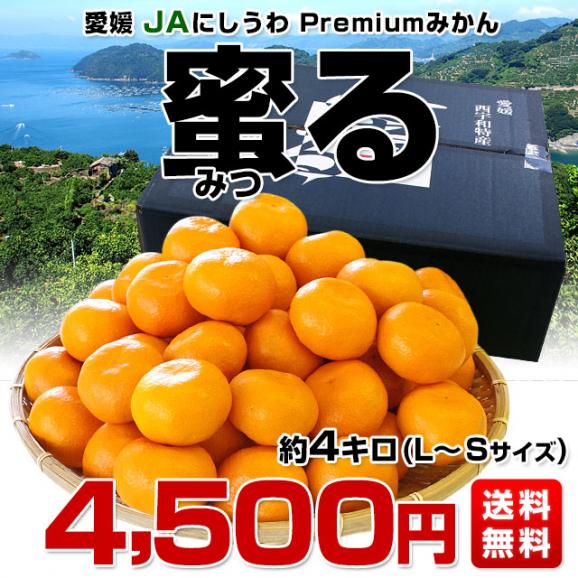 愛媛県より産地直送 JAにしうわ みつる共撰 プレミアム西宇和みかん 蜜る(みつる) LからSサイズ 4キロ(35玉から50玉) 送料無料 にしうわみかん 蜜柑 ミカン03