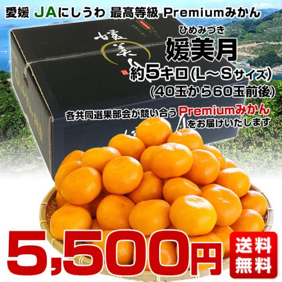 愛媛県より産地直送 JAにしうわ 西宇和プレミアムみかん「媛美月」 LからSサイズ 5キロ(40玉から60玉) 送料無料 蜜柑 ミカン ひめみづき03