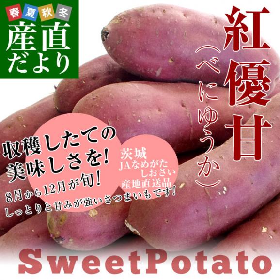 茨城県より産地直送 JAなめがたしおさい さつまいも「紅優甘 (べにゆうか)」 Sサイズ 5キロ(25本から30本) 送料無料 さつま芋 サツマイモ 薩摩芋02