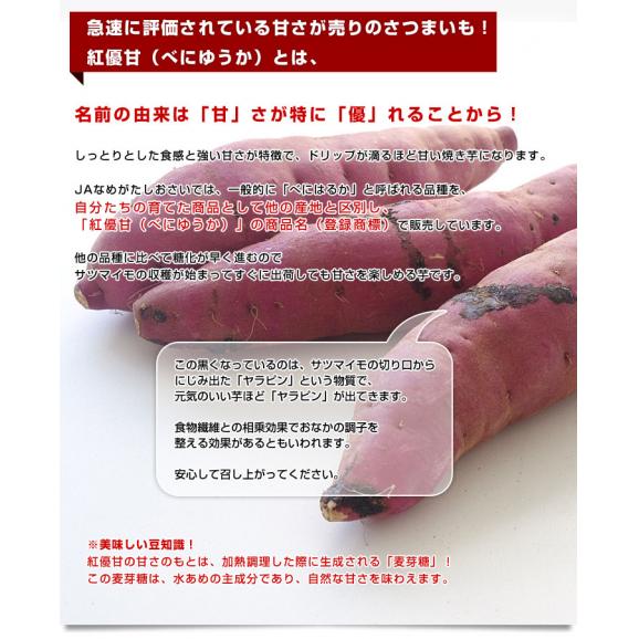 茨城県より産地直送 JAなめがたしおさい さつまいも「紅優甘 (べにゆうか)」 Sサイズ 5キロ(25本から30本) 送料無料 さつま芋 サツマイモ 薩摩芋04