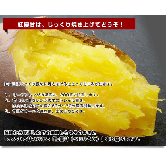 茨城県より産地直送 JAなめがたしおさい さつまいも「紅優甘 (べにゆうか)」 Sサイズ 5キロ(25本から30本) 送料無料 さつま芋 サツマイモ 薩摩芋06
