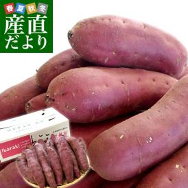 茨城県より産地直送 JAなめがたしおさい さつまいも「紅優甘 (べにゆうか)」 Mサイズ 5キロ(18本前後) 送料無料 さつま芋 サツマイモ 薩摩芋
