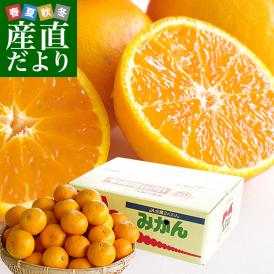 福岡県より産地直送 JAみなみ筑後 南津海（なつみ） 秀品 LからSサイズ 約5キロ 柑橘 オレンジ 