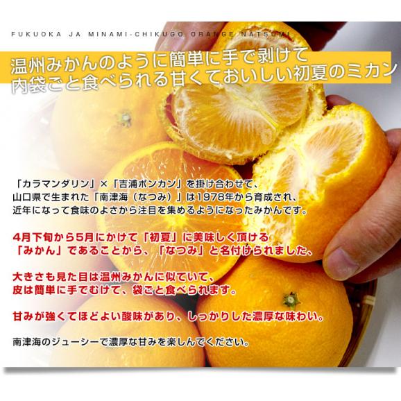福岡県より産地直送 JAみなみ筑後 南津海（なつみ） 秀品 LからSサイズ 約5キロ 柑橘 オレンジ 04