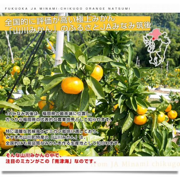 福岡県より産地直送 JAみなみ筑後 南津海（なつみ） 秀品 LからSサイズ 約5キロ 柑橘 オレンジ 05