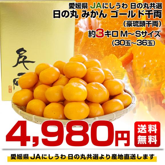 愛媛県より産地直送　JAにしうわ　日の丸プレミアムみかん　ゴールド千両（豪琉頭千両）　MからSサイズ　3キロ（30から36玉前後） 送料無料　蜜柑　ミカン03