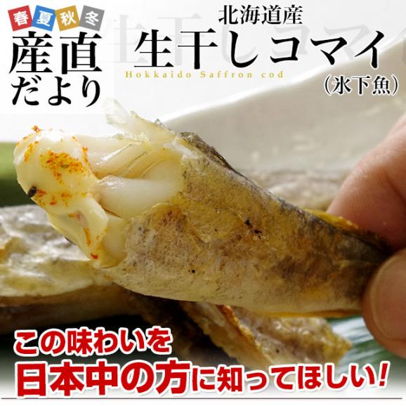 北海道より直送 北海道産 コマイ（氷下魚） 一夜干し 大ボリューム 1キロ（500g:15尾前後×2箱） 送料無料02