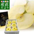山形県より産地直送 朝日町アップルズ はるか 秀品 2キロ(5玉から8玉) 送料無料 林檎 りんご リンゴ