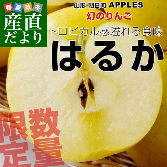 山形県より産地直送 朝日町アップルズ はるか 秀品 2キロ(5玉から8玉) 送料無料 林檎 りんご リンゴ02