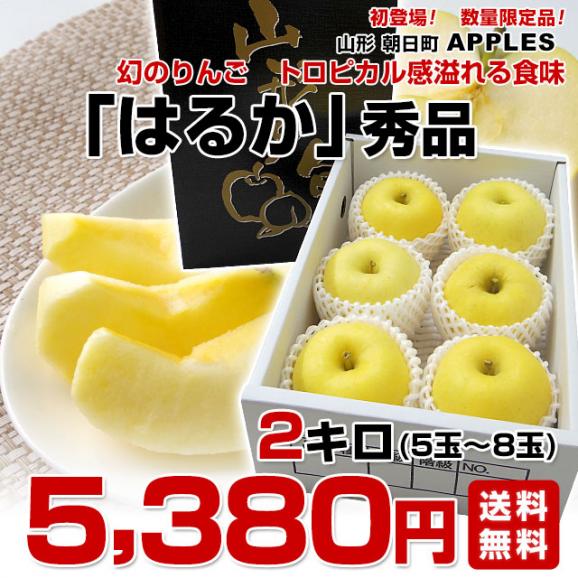 山形県より産地直送 朝日町アップルズ はるか 秀品 2キロ(5玉から8玉) 送料無料 林檎 りんご リンゴ03