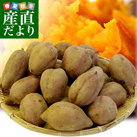 安納芋 Sサイズ 20kg 送料無料さつまいも焼き芋にどうぞ種子島