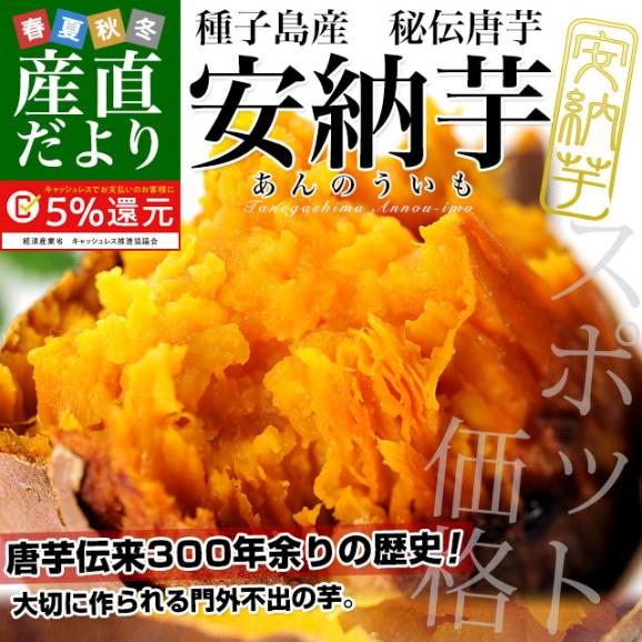 鹿児島県より産地直送 種子島産「安納芋」約5キロ さつまいも 唐芋 からいも カライモ 送料無料02