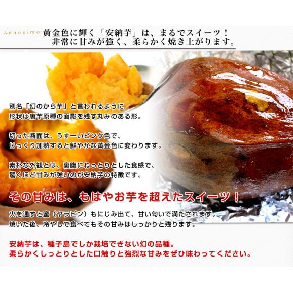 鹿児島県より産地直送 種子島産「安納芋」約5キロ さつまいも 唐芋 からいも カライモ 送料無料05