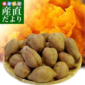 鹿児島県より産地直送 種子島産「安納芋」約3キロ さつまいも 唐芋 からいも カライモ 送料無料