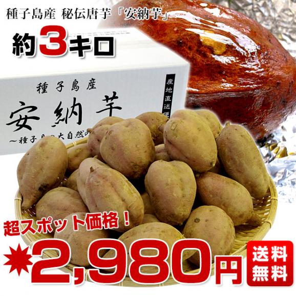 鹿児島県より産地直送 種子島産「安納芋」約3キロ さつまいも 唐芋 からいも カライモ 送料無料03