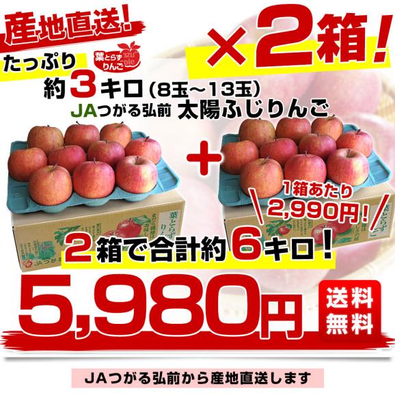 青森県から産地直送 JAつがる弘前 葉とらず太陽ふじりんご 3キロ(8玉から13玉&times;2箱) 糖度13度以上 林檎 リンゴ 送料無料03