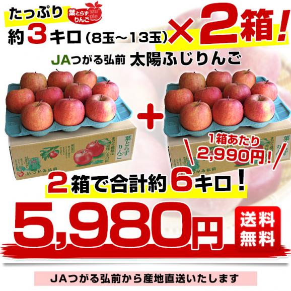青森県から産地直送 JAつがる弘前 葉とらず太陽ふじりんご 糖度
