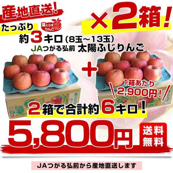 【決算特別価格！】青森県から産地直送 JAつがる弘前 葉とらず太陽ふじりんご 3キロ(8玉から13玉&times;2箱) 糖度13度以上 林檎 リンゴ 送料無料03