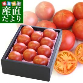 糖度10度を超えるトマトに与えられる称号「ロイヤルセレブ」