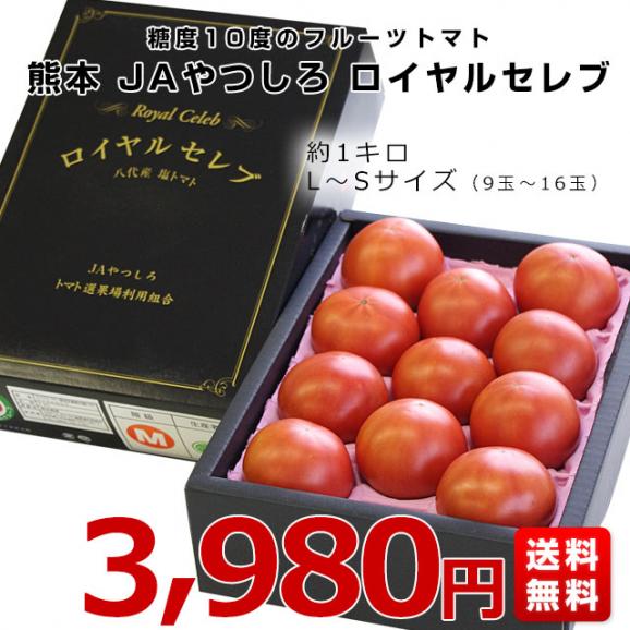 熊本県より産地直送 JAやつしろ フルーツトマト ロイヤルセレブ 約1キロ LからSサイズ(9から16玉) とまと03
