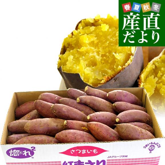 茨城県より産地直送 JAなめがた さつまいも「紅まさり(べにまさり)」 Sサイズ 約5キロ(25本から30本前後） 送料無料 さつま芋 サツマイモ 薩摩芋01