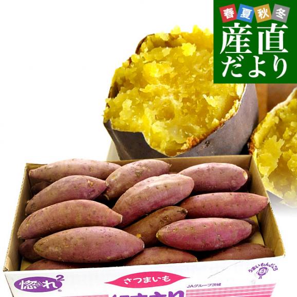 茨城県より産地直送 JAなめがた さつまいも「紅まさり(べにまさり)」 Mサイズ 約5キロ(18本前後） 送料無料 さつま芋 サツマイモ 薩摩芋01