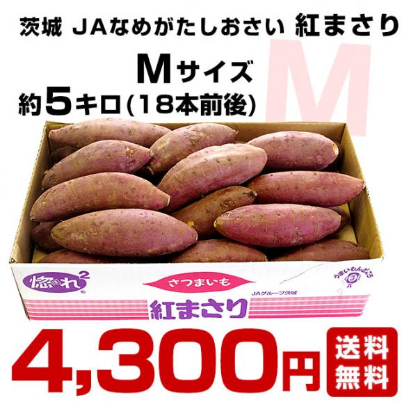 茨城県より産地直送 JAなめがた さつまいも「紅まさり(べにまさり)」 Mサイズ 約5キロ(18本前後） 送料無料 さつま芋 サツマイモ 薩摩芋03
