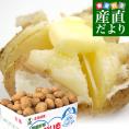 北海道より産地直送 JAとうや湖 雪蔵貯蔵じゃがいも (男爵) Lサイズ 10キロ  送料無料 芋ジャガイモ 馬鈴薯