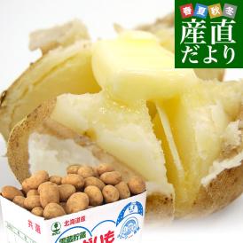 北海道より産地直送 JAとうや湖 雪蔵貯蔵じゃがいも (男爵) Lサイズ 10キロ  送料無料 芋 ジャガイモ 馬鈴薯