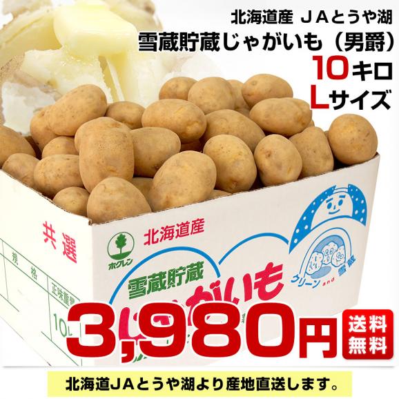 北海道より産地直送 JAとうや湖 雪蔵貯蔵じゃがいも (男爵) Lサイズ 10キロ  送料無料 芋ジャガイモ 馬鈴薯03