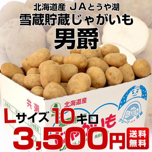 北海道より産地直送 JAとうや湖 雪蔵貯蔵じゃがいも (男爵) Lサイズ 10キロ  送料無料 芋 ジャガイモ 馬鈴薯03