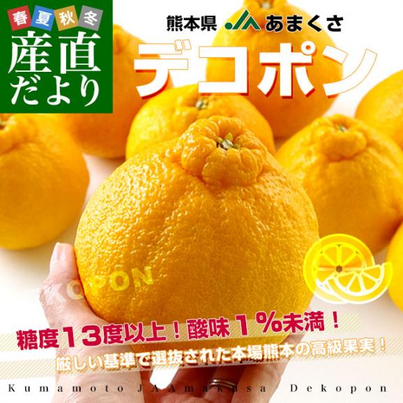 熊本県から産地直送 JAあまくさ デコポン 2L 5キロ (20玉) でこぽん しらぬひ 不知火 天草 送料無料02