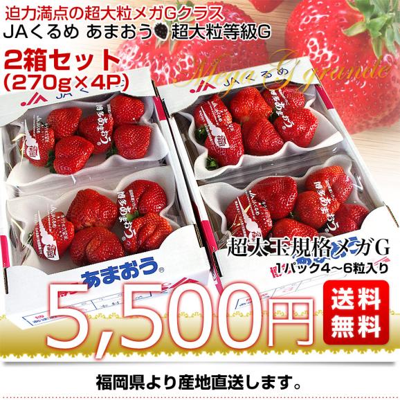 福岡県より産地直送 JAくるめ メガGあまおう 超大粒メガGグランデ 2箱セット 合計1080g (540g×2箱)  苺 いちご イチゴ 久留米 送料無料 ※クール便03