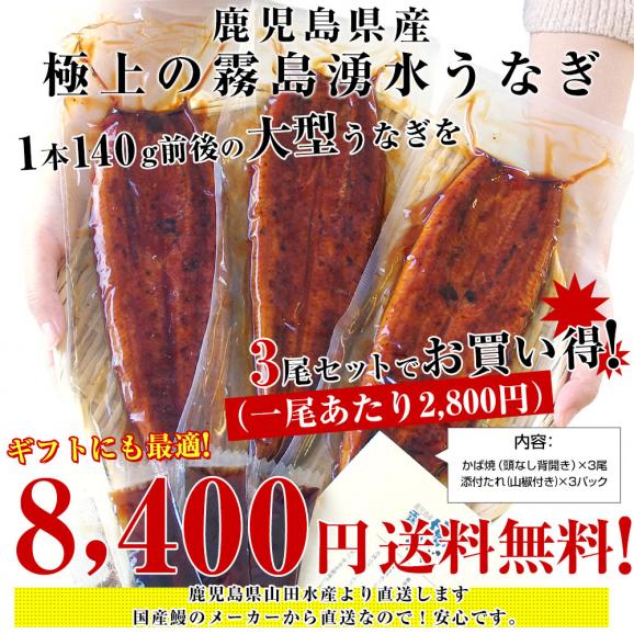 鹿児島県志布志産 山田水産 霧島湧水うなぎ 長蒲焼き 大サイズ3尾セット（140g前後×3尾）送料無料 鰻師 加藤尚武さん ギフト シーフード ギフト対応化粧箱 ギフト03