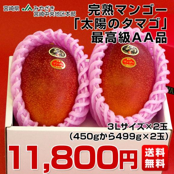 宮崎県より産地直送 JAみやざき宮崎中央地区本部 太陽のタマゴ 最高級AA品 3L×2玉 （450gから499g×2玉） 送料無料 マンゴー たいようのたまご03