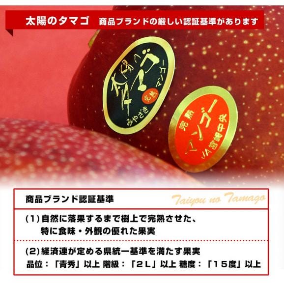 宮崎県より産地直送 JA宮崎中央 太陽のタマゴ 最高級AA品 5Lサイズ (650g以上×1玉) 送料無料 マンゴー たいようのたまご06