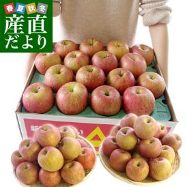 年末特別価格 青森県より産地直送 青森県産のサンふじりんご　約10キロ（28から36玉前後）