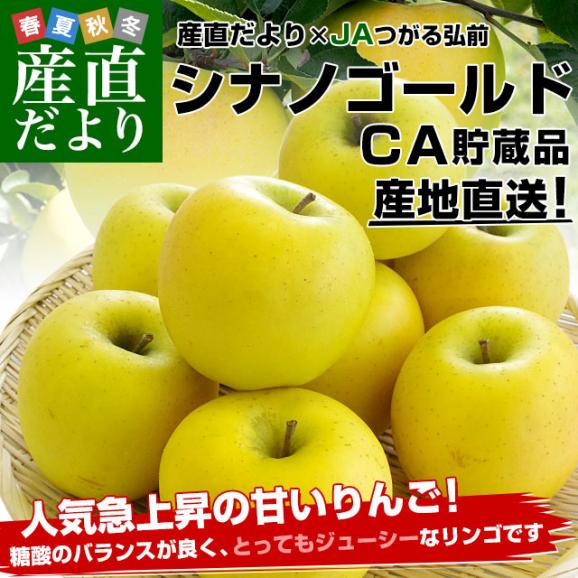 青森県より産地直送 JAつがる弘前 シナノゴールド CA貯蔵品 約3キロ（9玉から13玉）送料無料 りんご しなのごーるど02
