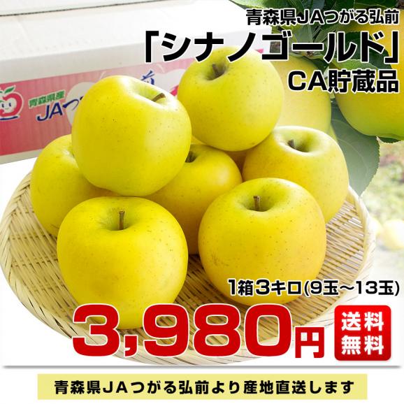 青森県より産地直送 JAつがる弘前 シナノゴールド CA貯蔵品 約3キロ（9玉から13玉）送料無料 りんご しなのごーるど03