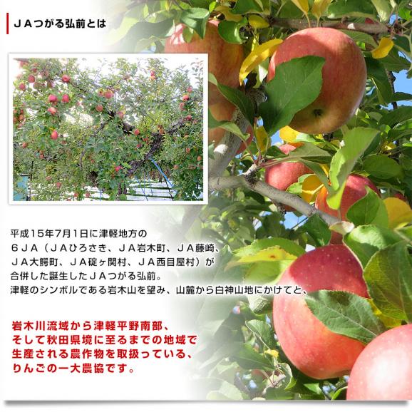 青森県より産地直送 JAつがる弘前 シナノゴールド CA貯蔵品 約3キロ(9玉から13玉)送料無料 りんご しなのごーるど04
