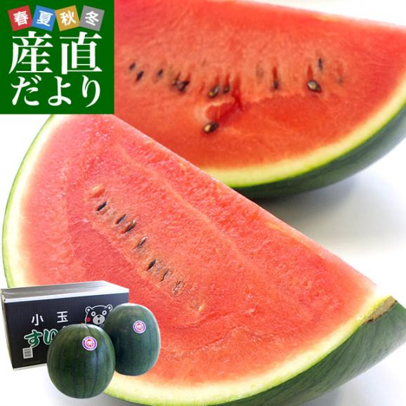 熊本県より産地直送 JA熊本市 黒小玉スイカ(ひとりじめBONBON 熊本県より産地直送 JA熊本市 黒小玉スイカ(ひとりじめBONBON