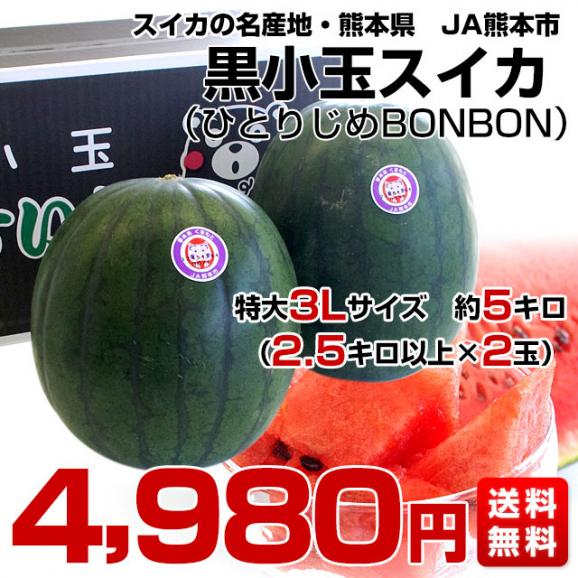 熊本県より産地直送 JA熊本市 黒小玉スイカ(ひとりじめBONBON