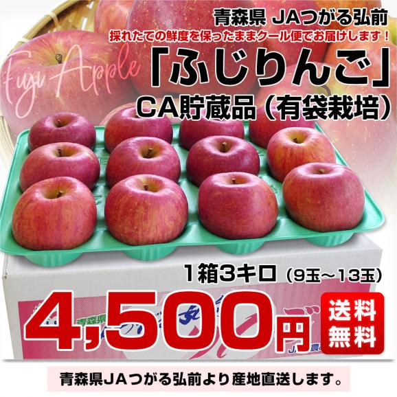 青森県より産地直送 JAつがる弘前 ふじ (有袋栽培) CA貯蔵品 約3キロ (9から13玉) 送料無料 りんご リンゴ 林檎03